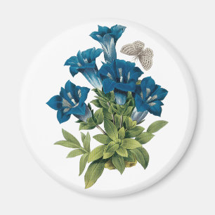 Redoute Blue Flower Magnet Magneet