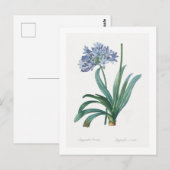 REDOUTÉ CARTE POSTALE BOTANIQUE "LILY OF NILE" (Devant / Derrière)