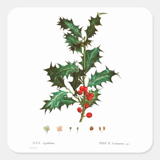 REDOUTÉ CHRISTMAS HOLLY ENVELOPE SEAL STICKER (Voorkant)