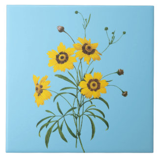 Redoute Coreopsis Bloem Tegel Tegeltje