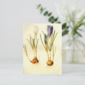 Redoute Crocus Briefkaart (Staand voorkant)