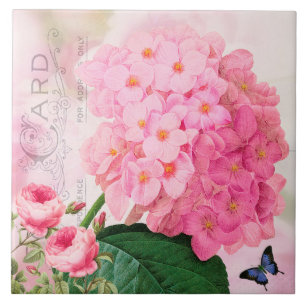 Redoute Franse Roze Hortensia Rozen Keramische Teg Tegeltje