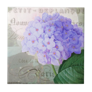 Redoute Hydrangea French Accent Ceramic Tile Tegeltje