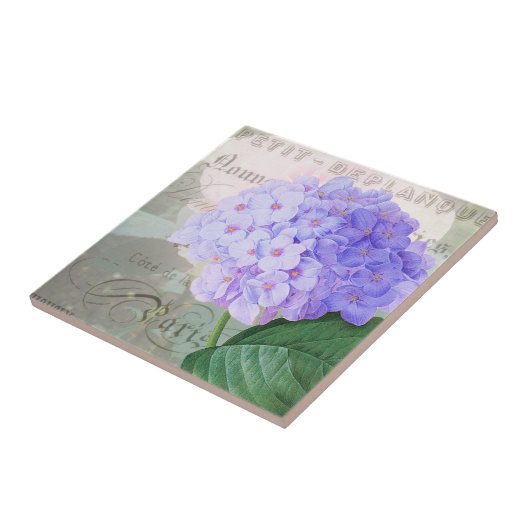 Redoute Hydrangea French Accent Ceramic Tile Tegeltje (Zijkant)
