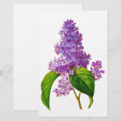 Redoute Lilacs Briefpapier (Voorkant / Achterkant)