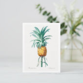 REDOUTÉ "PINEAPPLE" BOTANISCH BRIEFKAART (Staand voorkant)