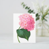 Redoute Pink Hydrangea Briefkaart (Staand voorkant)