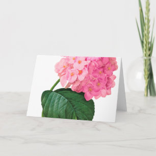 Redoute Pink Hydrangea Wenskaart Kaart