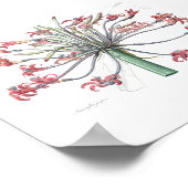 REDOUTÉ POSTER BOTANIQUE "LE MENSONGE DE JOSEPHINE (Coin)