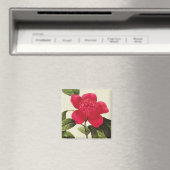 Redoute Red Camellia Botanique Imprimer Magnet Car (In Situ (Lave-vaisselle))