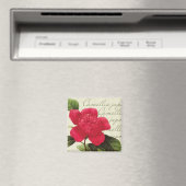 Redoute Red Camellia Botanique Imprimer Magnet Car (In Situ (Lave-vaisselle))