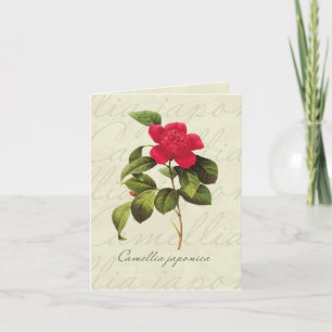 Redoute Red Camellia botanische printkaarten Kaart