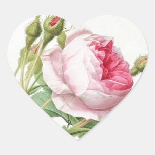 Redoute Roos Heart Shape Stickers