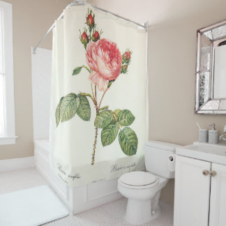 Redoute Rosa Centifolia Douchegordijn