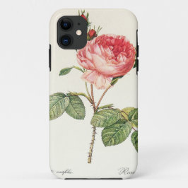 Redoute Rosa Centifolia (helder) iPhone 11 Hoesje