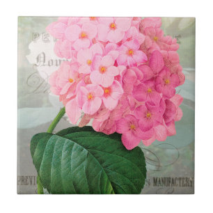 Redoute roze hydrangea keramische tegel tegeltje