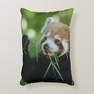 RedPanda 002 Accent Kussen