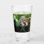 RedPanda 002 Glas (Achterkant)