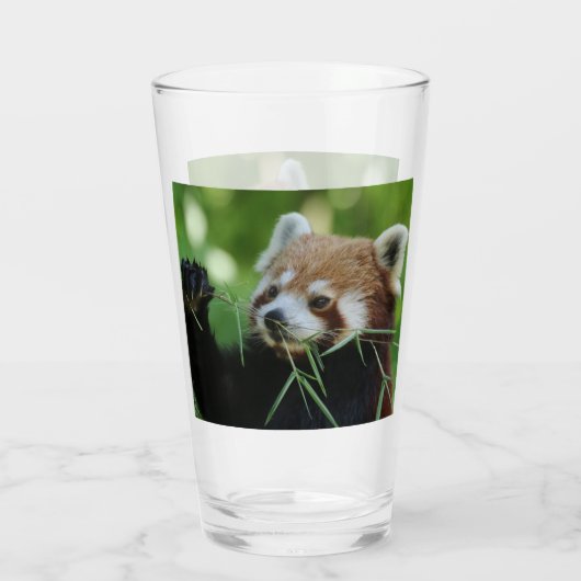 RedPanda 002 Glas (Achterkant)