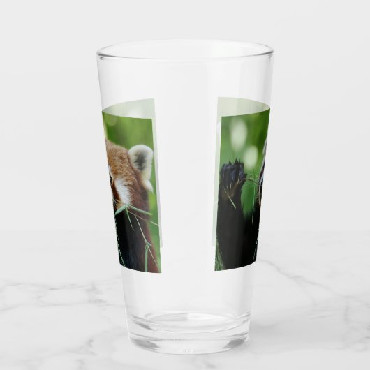 RedPanda 002 Glas (Rechts)