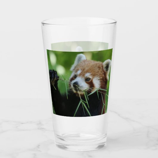 RedPanda 002 Glas (Voorkant)