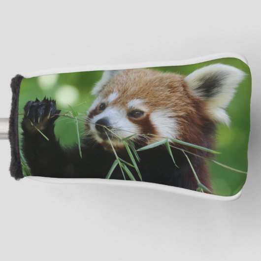 RedPanda 002 Golfheadcover (Voorkant)