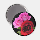 RedPinkTonedRoses2 Magneet (Voorkant / Achterkant)