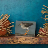 Redshank | Tringa Totanus Fotoplaat (Zijkant)