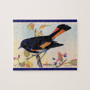 Redstart Bird Puzzle