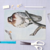 Redtail Hawk waterverf Tissuepapier (Craft)