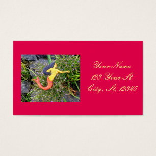 redtail sirena mermaid