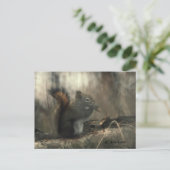 Redtail Squirrel 01 Briefkaart (Staand voorkant)