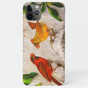 Redvogels Zingend op liefde iPhone 11 Pro Max Hoesje