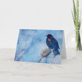 Redwing Blackbird op blauwe artistieke foto Kaart