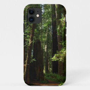 Redwood en Ferns in Redwood National Park iPhone 11 Hoesje