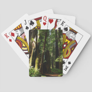 Redwood en Ferns in Redwood National Park Pokerkaarten
