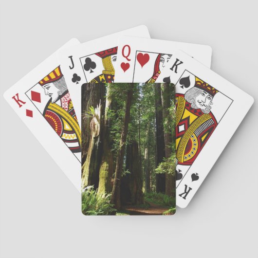 Redwood en Ferns in Redwood National Park Pokerkaarten (Achterkant)