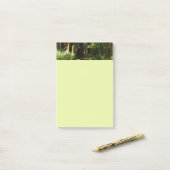 Redwood en Ferns in Redwood National Park Post-it® Notes (Op bureau)