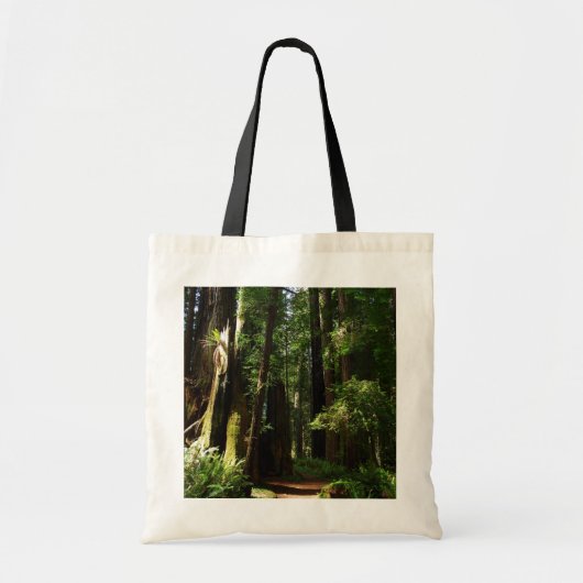 Redwood en Ferns in Redwood National Park Tote Bag (Voorkant)