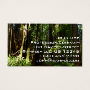 Redwood en Ferns in Redwood National Park Visitekaartje
