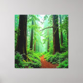 Redwood Forest Mistige Rust Design Canvas Afdruk (Voorkant)