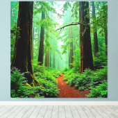 Redwood Forest Mistige Rust Design Canvas Afdruk (Insitu (Houten vloer))