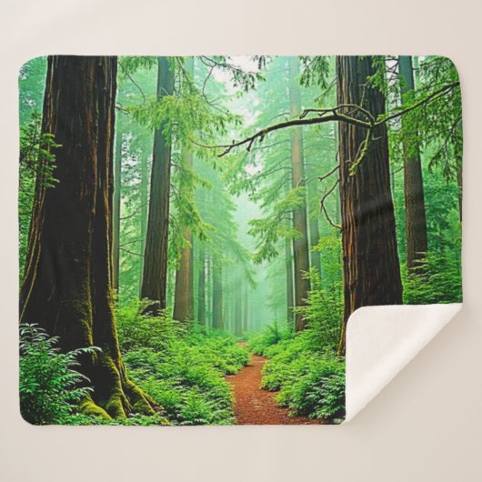 Redwood Forest Misty Tranquility Ontwerp Sherpa Deken (Voorkant (horizontaal))