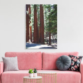 Redwood Forest Sequoia Tree Wall Art Canvas Afdruk (Insitu (Woonkamer))