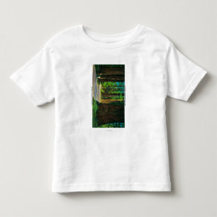 Redwood Highway in Humboldt State Redwood Park Kinder Shirts