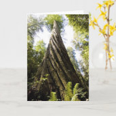 Redwood Kaart (Gele Bloem)