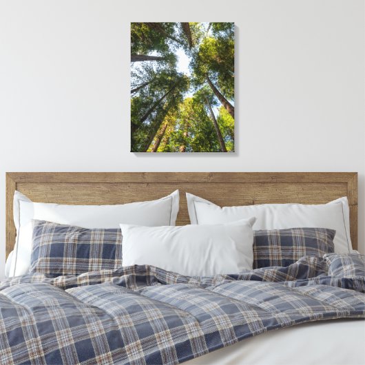 Redwood National and State Parks, Californië Canvas Afdruk (Insitu (Slaapkamer))