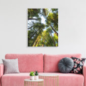 Redwood National and State Parks, Californië Canvas Afdruk (Insitu (Woonkamer))