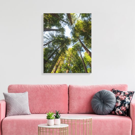 Redwood National and State Parks, Californië Canvas Afdruk (Insitu (Woonkamer))