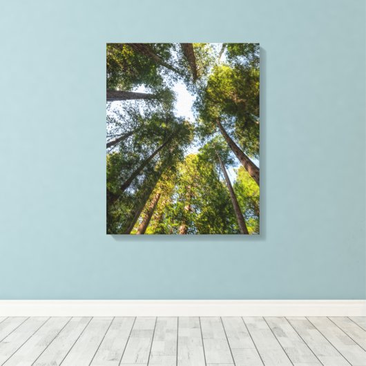Redwood National and State Parks, Californië Canvas Afdruk (Insitu (Houten vloer))